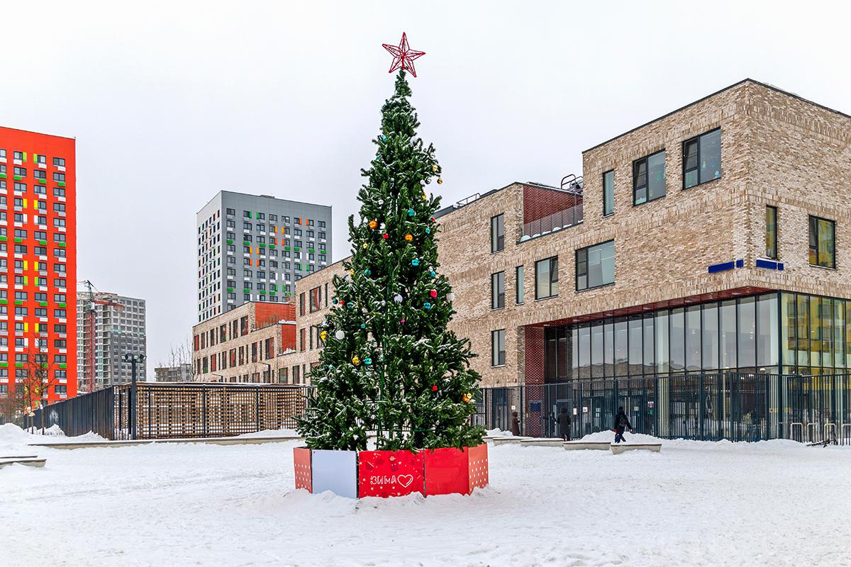 Фото: Kleymenov Valery / Shutterstock / FOTODOM