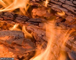 В Челябинской области бушуют лесные пожары