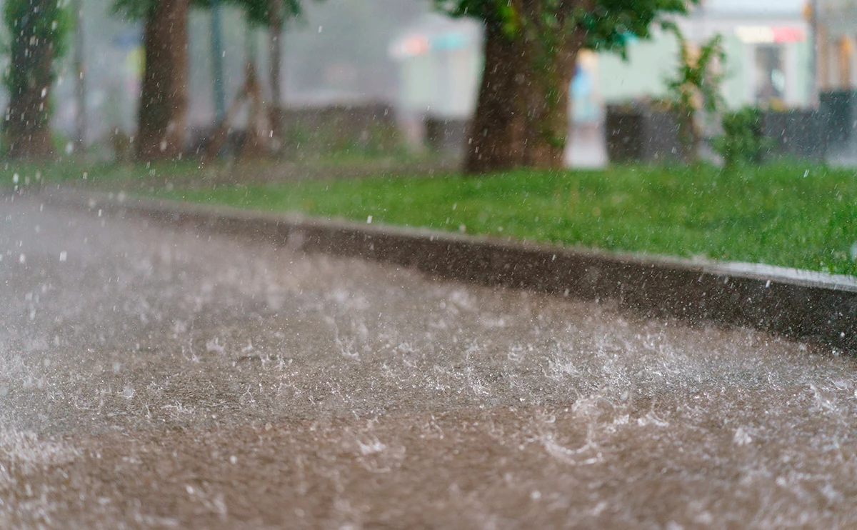 YuryKara / Shutterstock