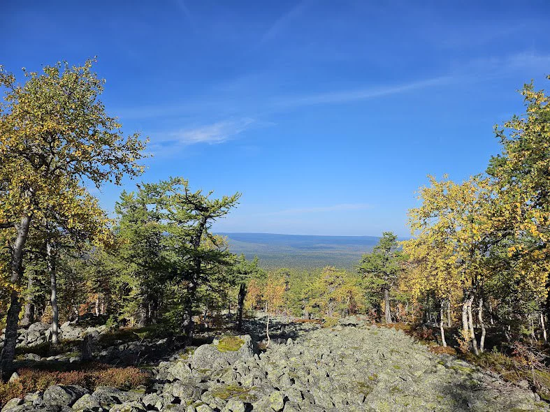 Государственный природный заповедник «Вишерский»