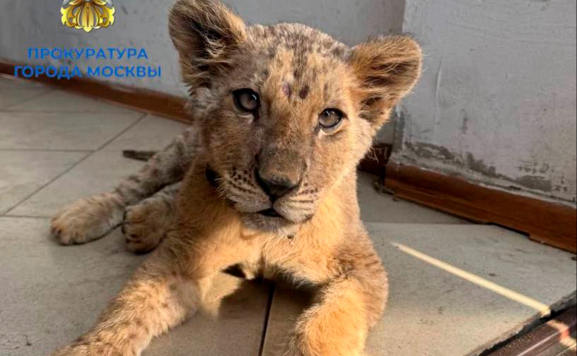 Прокуратура Москвы