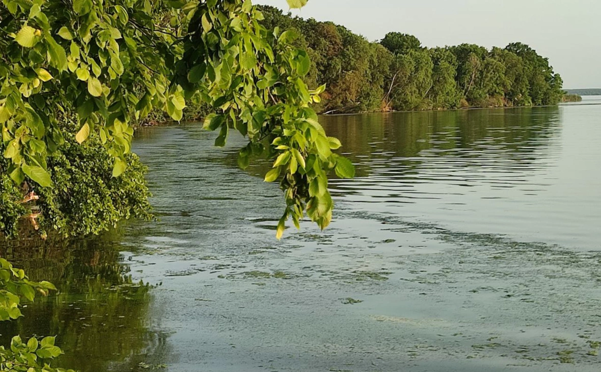 РБК Черноземье