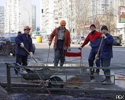 Работодатели заплатили 215 млн руб. штрафов за труд мигрантов