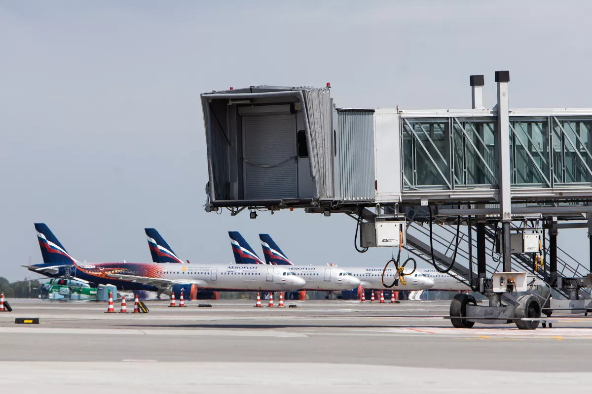 Александр Подгорчук