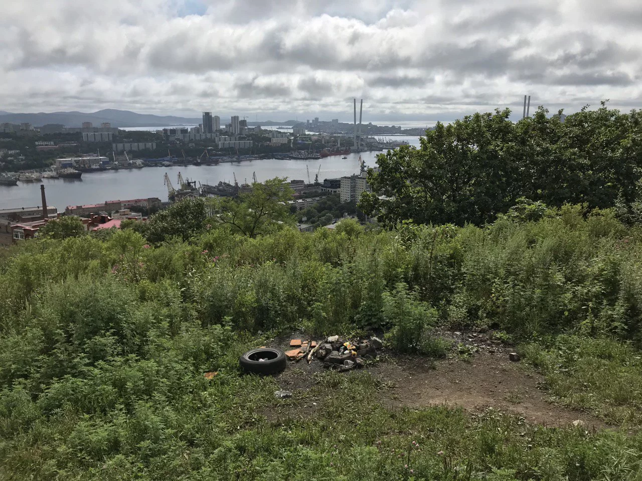 РБК Приморье