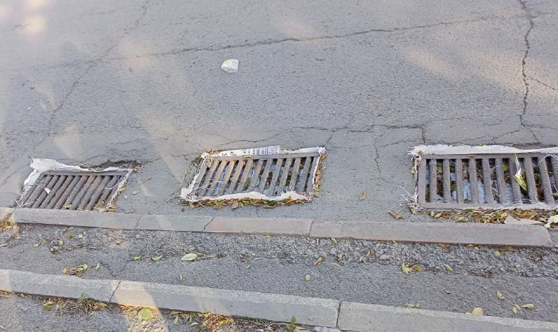 Алексей Коваленок / РБК Новосибирск