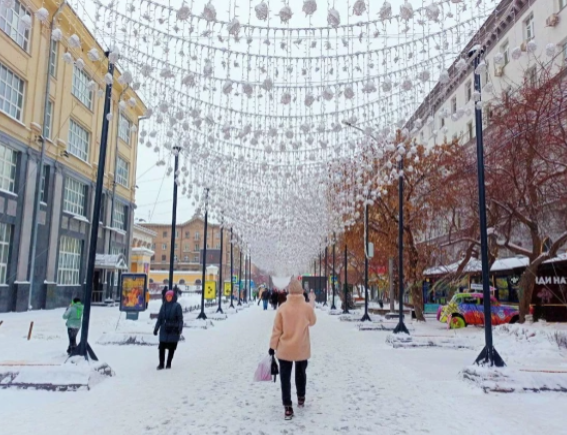 Фото: Алексей Коваленок / РБК Новосибирск