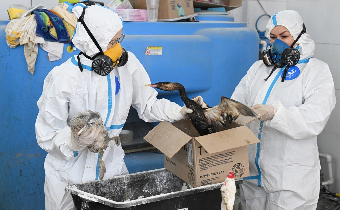 Алексей Майшев / РИА Новости