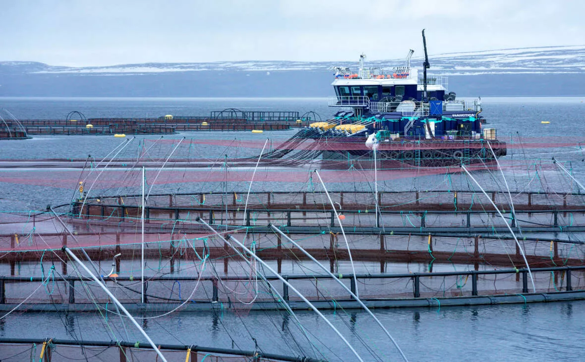 inarctica.com