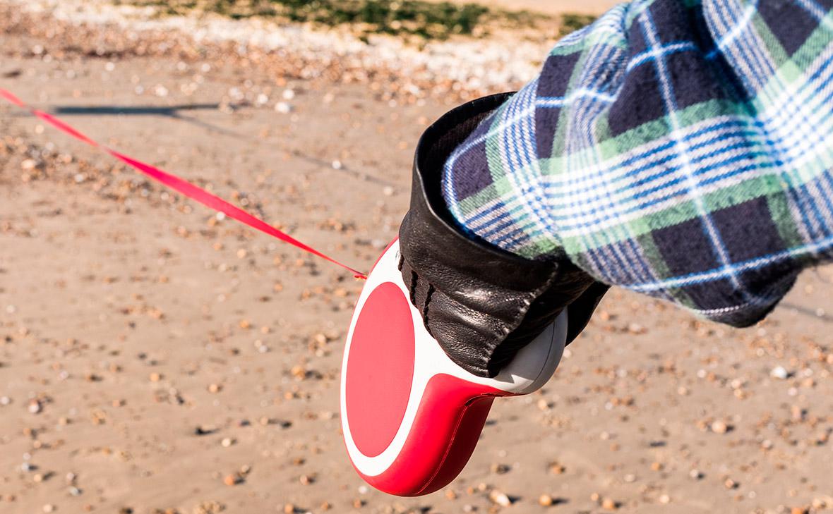 Фото: Christine Bird / Shutterstock