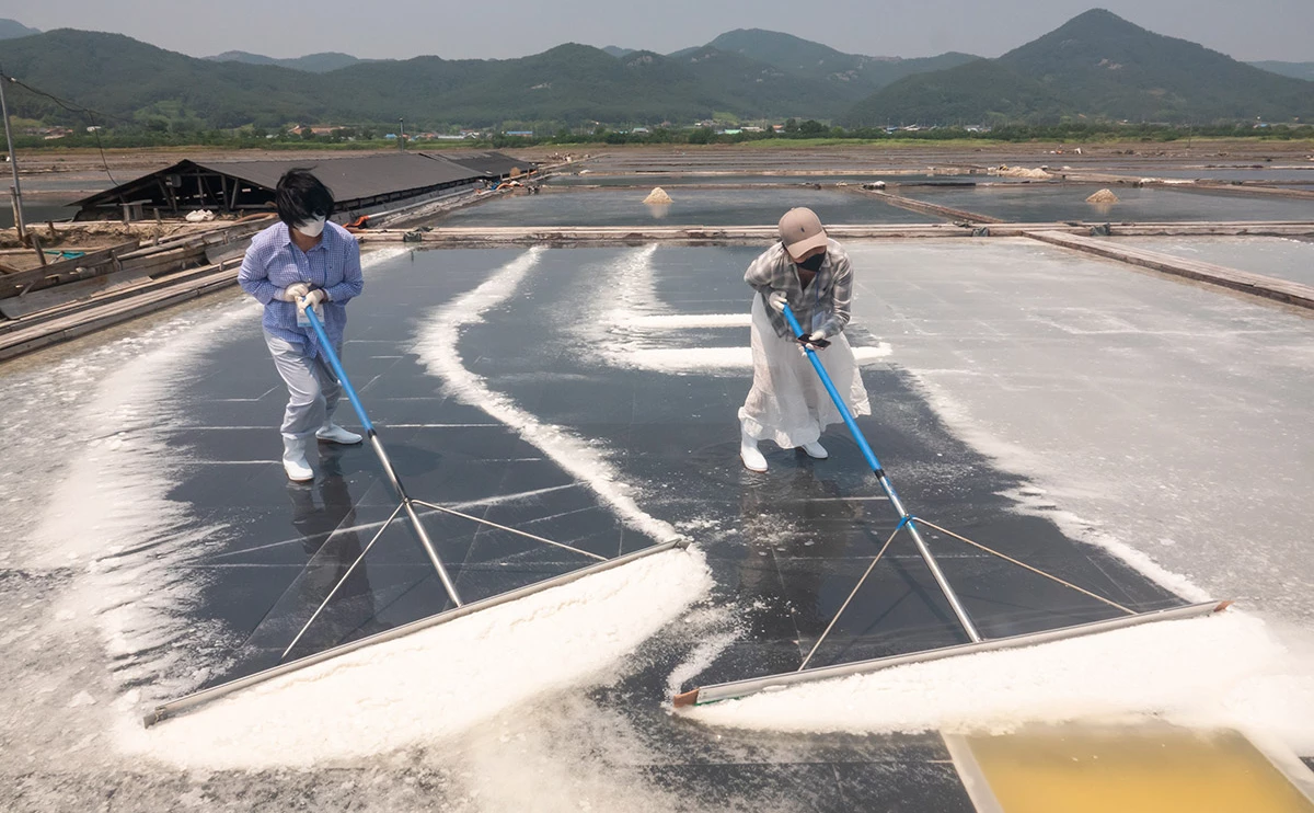 Lee Jae-Won / AFLO / Global Look Press