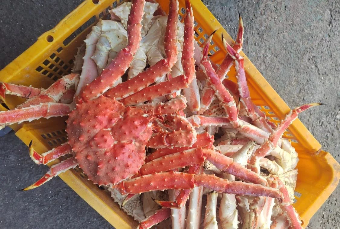 РБК Приморье