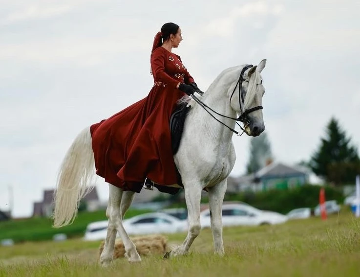 Социальные сети Артема Шилохвостова