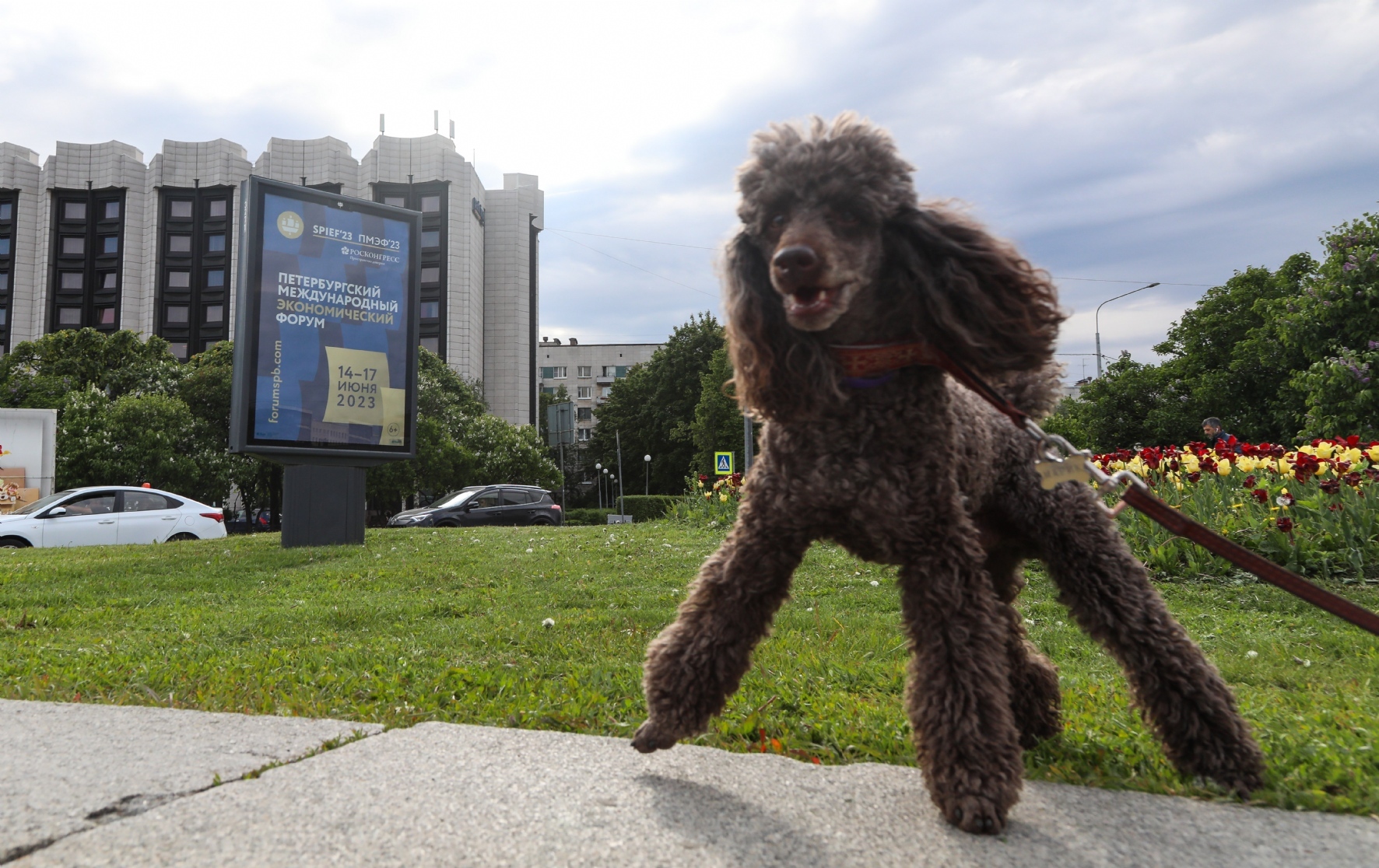 Фото: Пименов Роман/PhotoXPress.ru