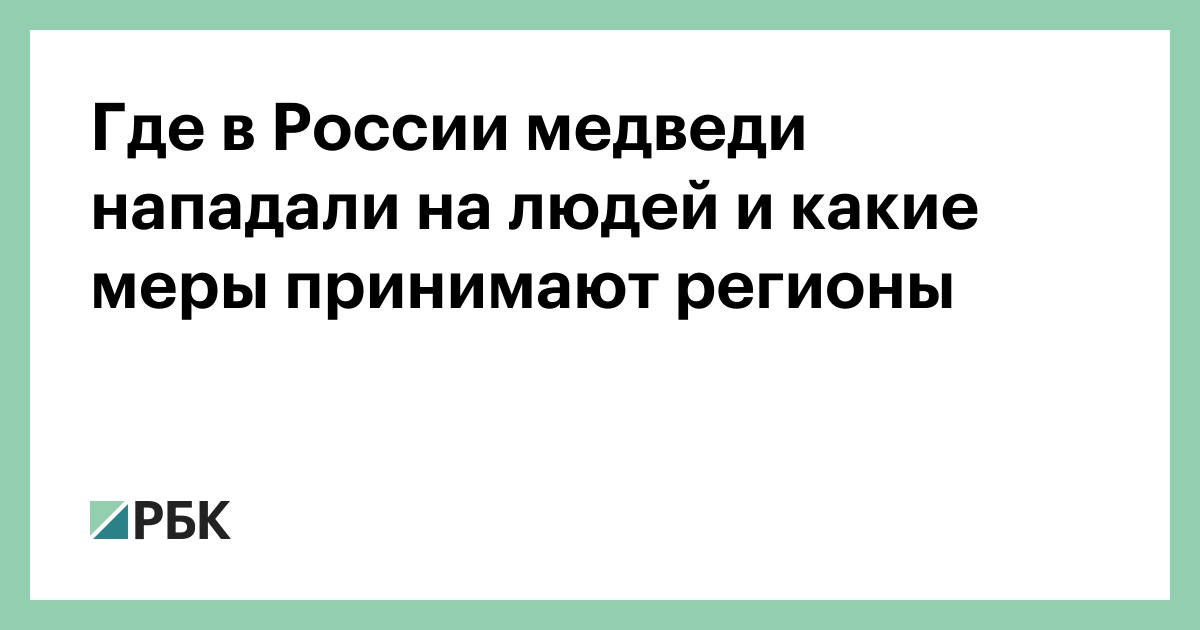 Где в России медведи нападали на людей и какие меры принимают регионы