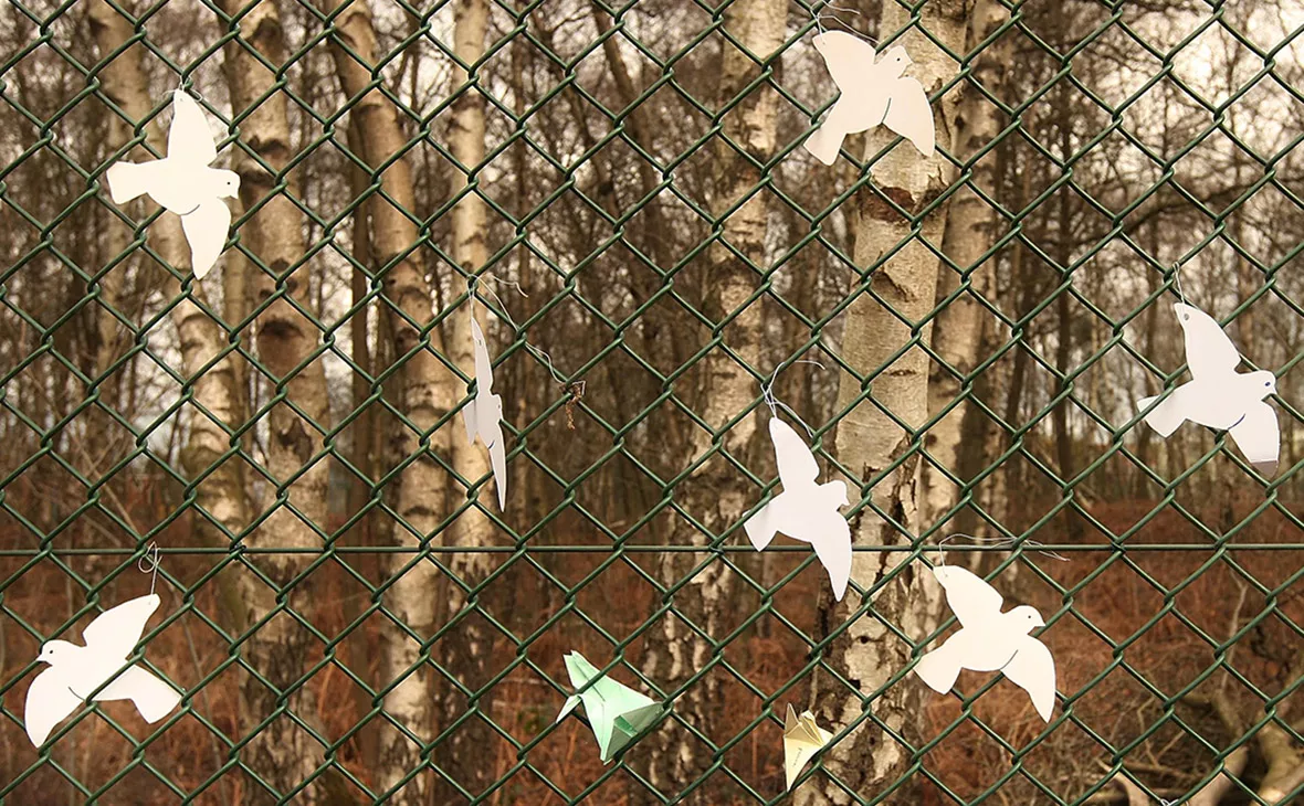 Peter Macdiarmid / Getty Images