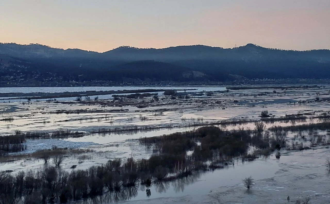 alexeytsydenov / Telegram