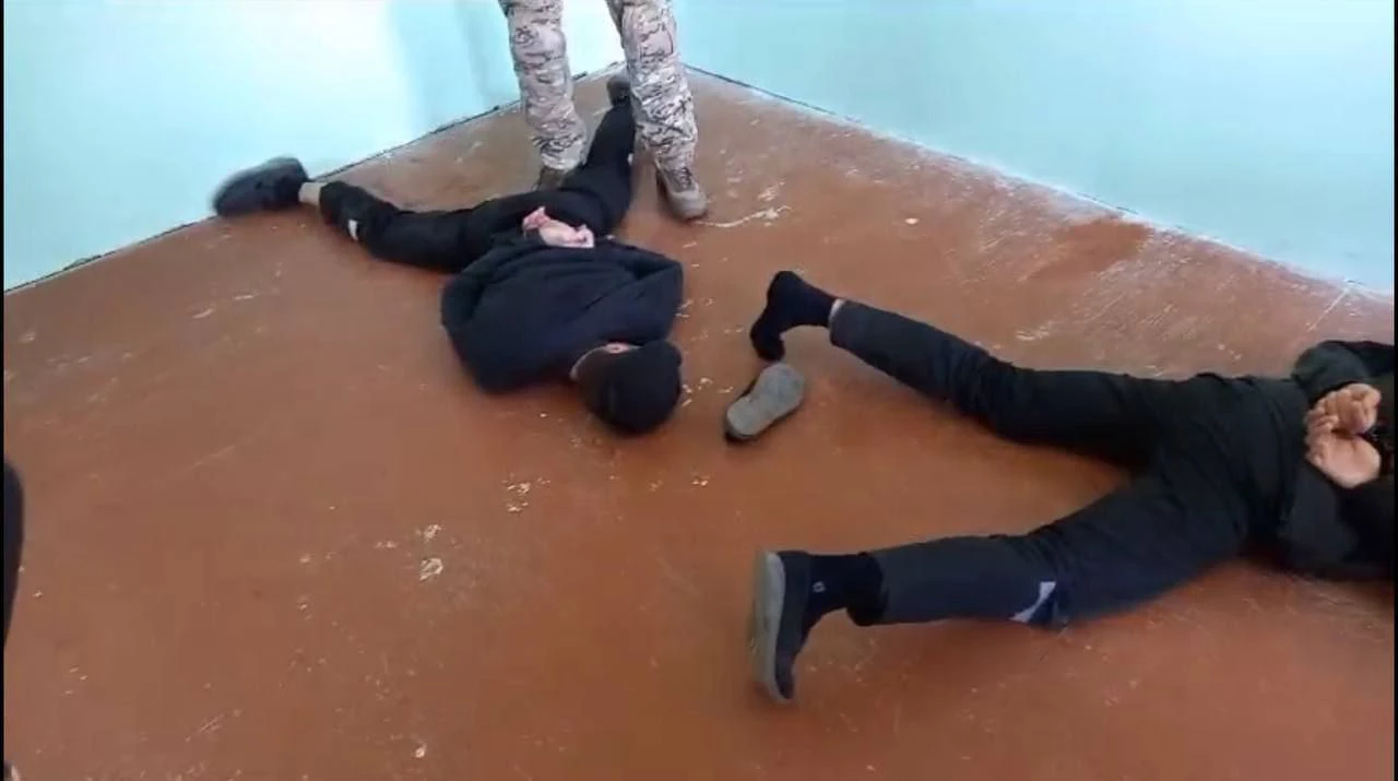 Телеграм-канал «Оперативные сводки»