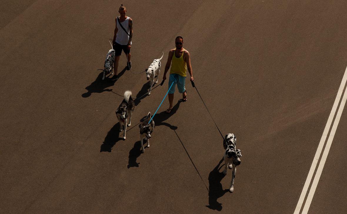 Фото:Андрей Любимов / РБК