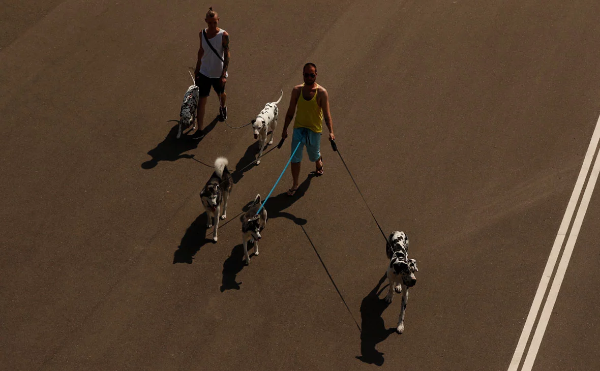 Андрей Любимов / РБК