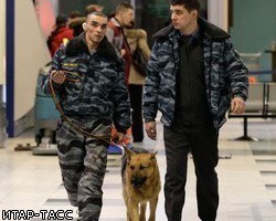 В Москве задержан мужчина с 5 кг взрывчатки
