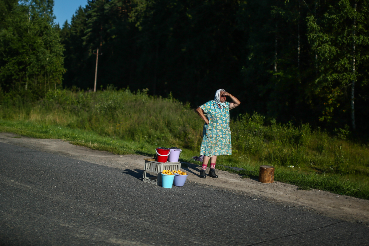 Женщина продает грибы и ягоды на трассе Е30 Брест &mdash; Москва близ границы с Российской Федерацией