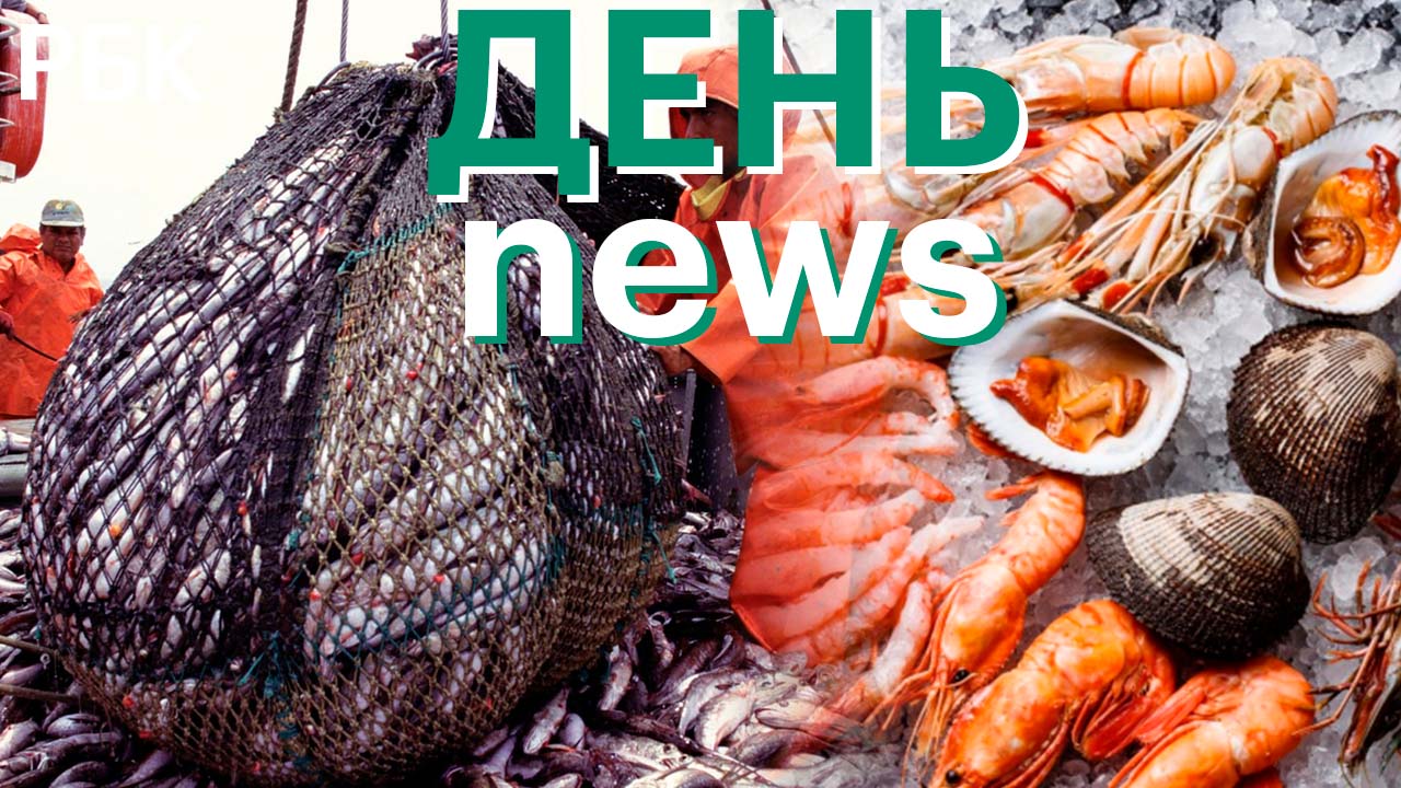 Импорт рыбы и морепродуктов сократится. Что будет с ценами?