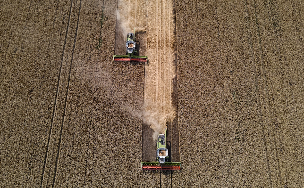 Алексей Фурман / Getty Images