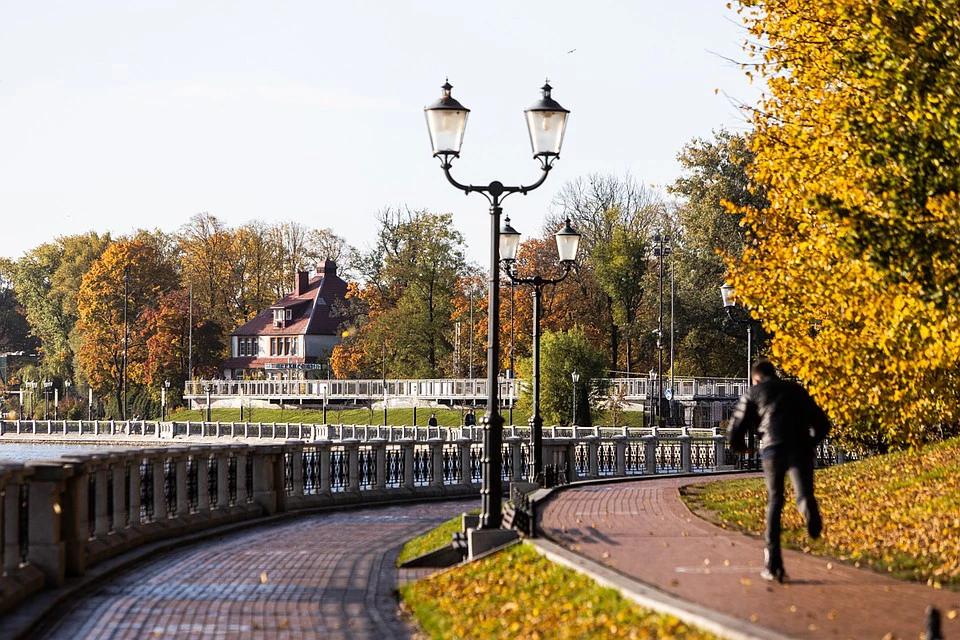 Александр Подгорчук