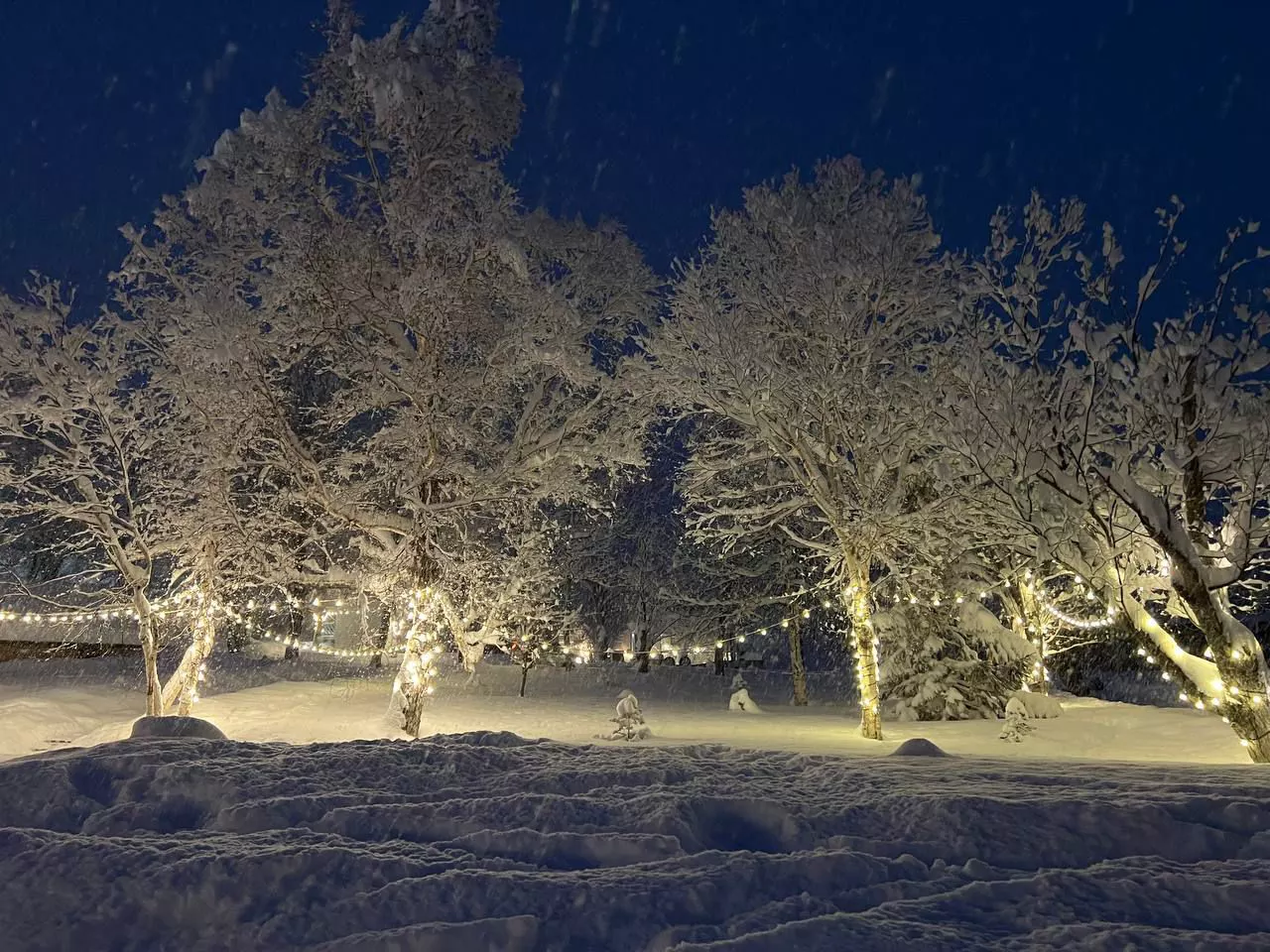 РБК Приморье