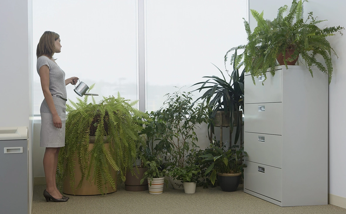 Noel Hendrickson / Global Look Press