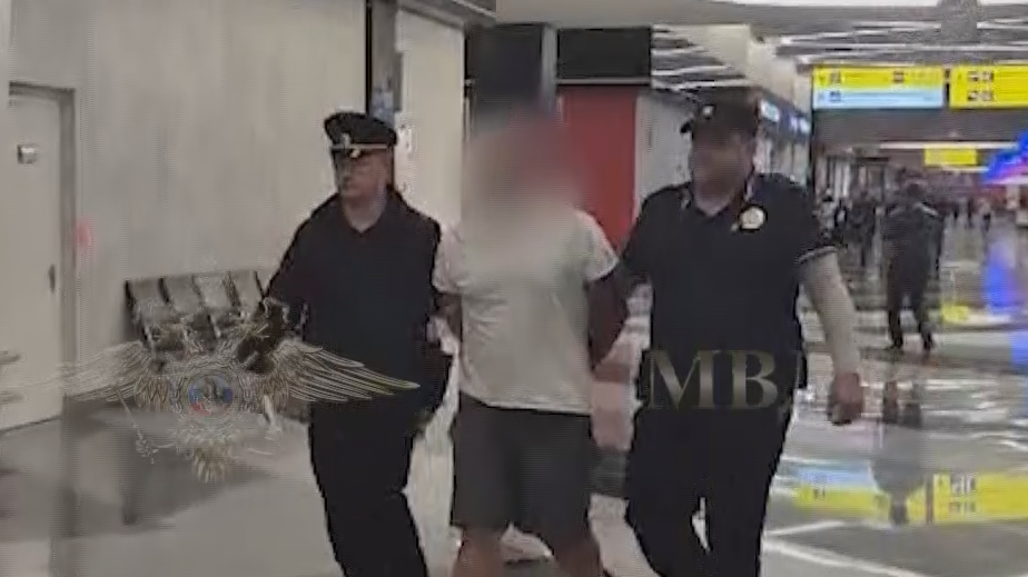 У брошенного на пол в Шереметьево малыша диагностировали переломы черепа