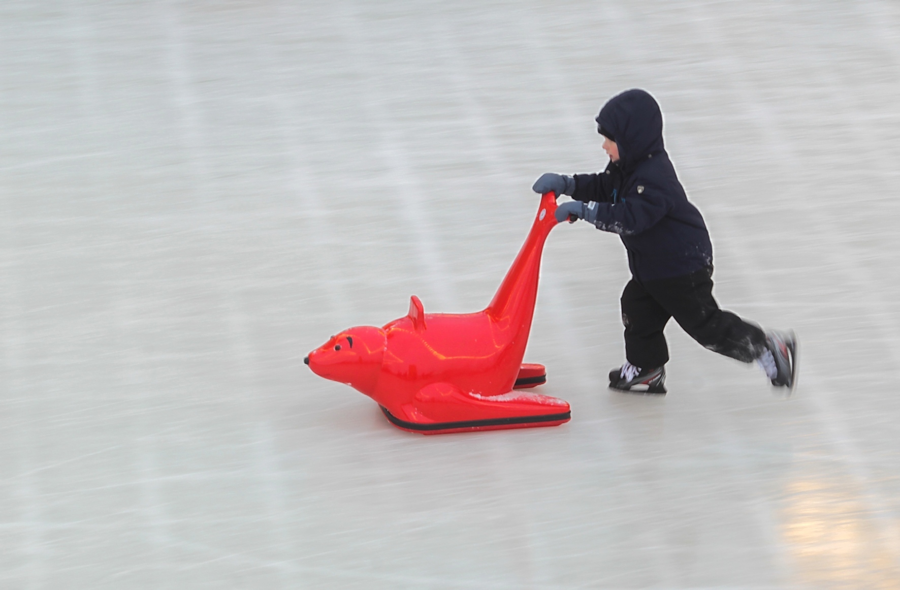 Фото: Пименов Роман / PhotoXPress.ru