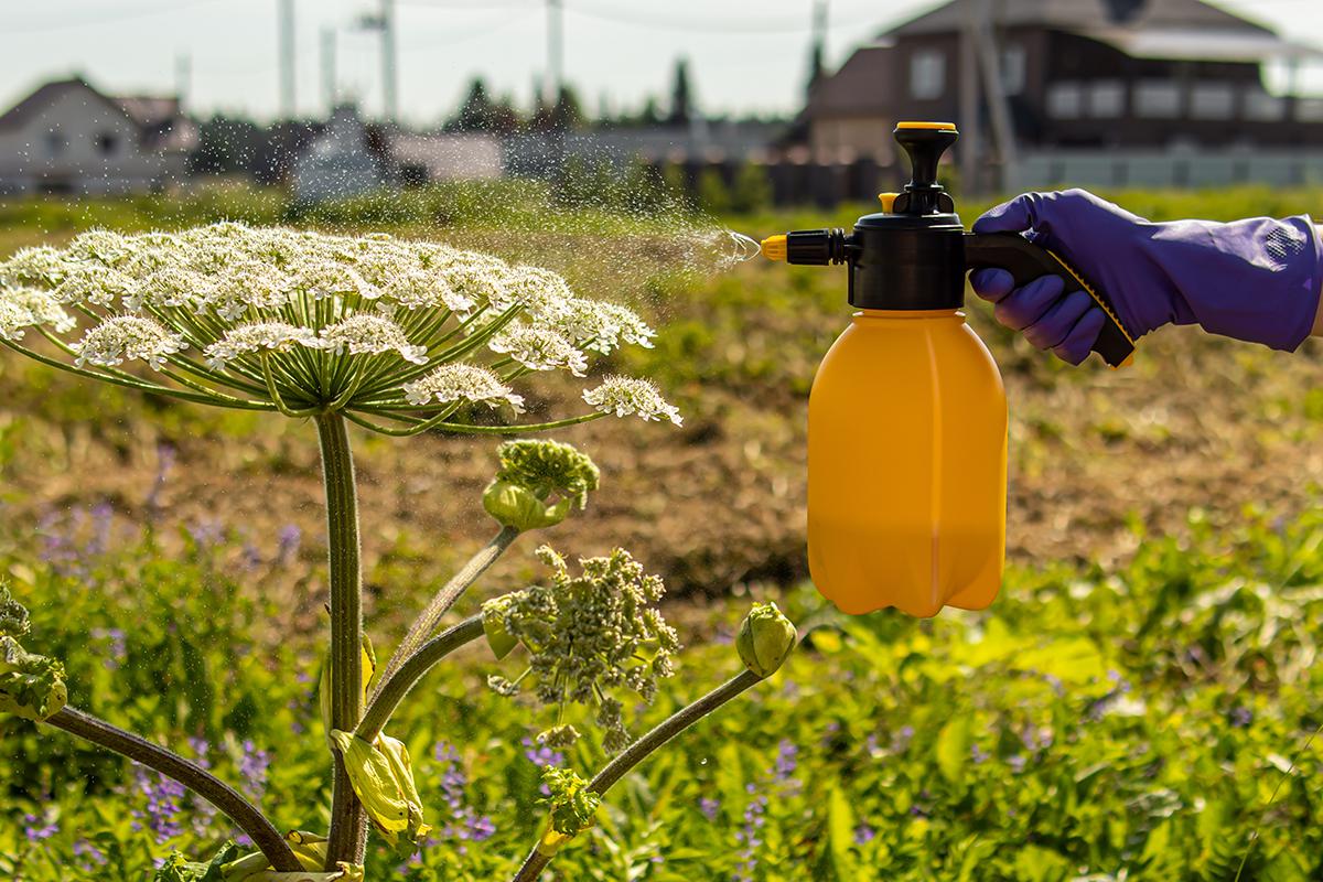 Как изменятся законы о недвижимости и ЖКХ в 2026 году