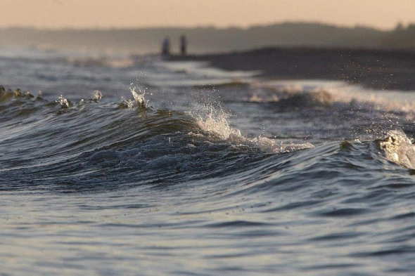 Александр Подгорчук