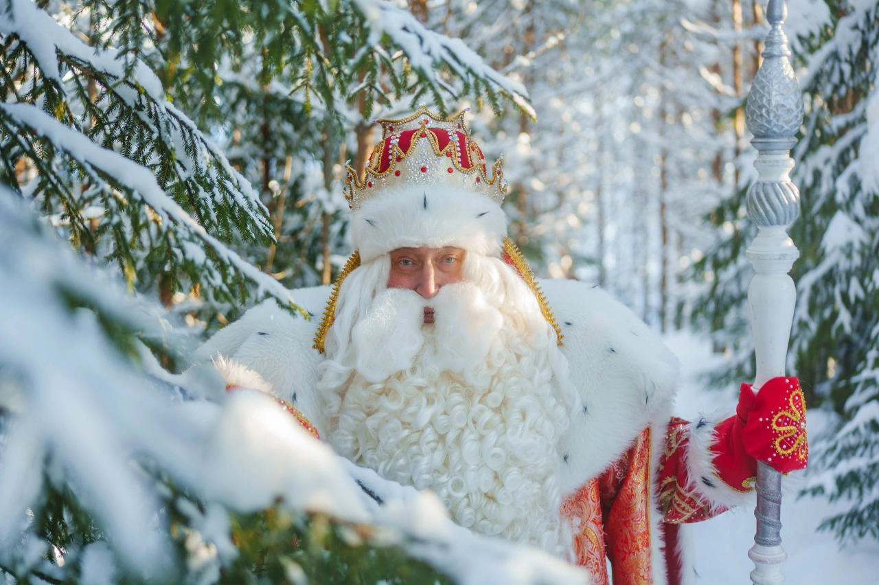 ООО «Тематический парк «Дед Мороз»