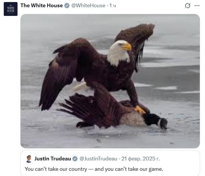 Фото: Белый дом