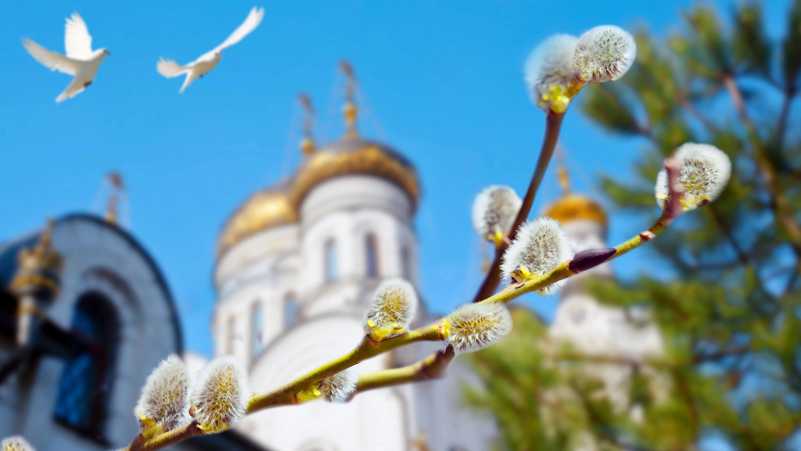 В православии до XVII века было принято на Вербное воскресенье устраивать «Шествие на осляти» в память о прибытии Иисуса Христа в Иерусалим