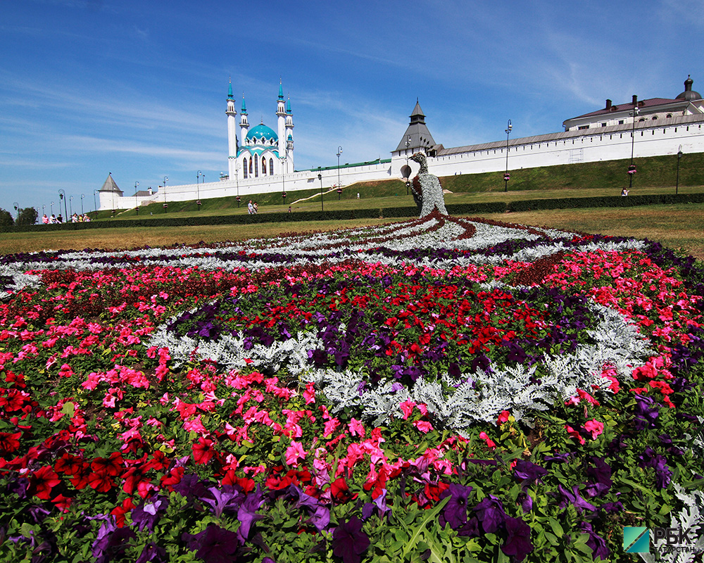 В Казани площадь уличных цветников увеличится на 30%