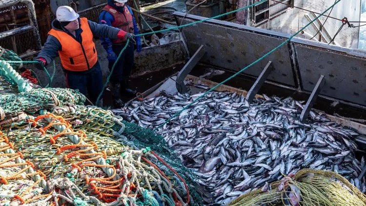 пресс-служба Росрыболовства