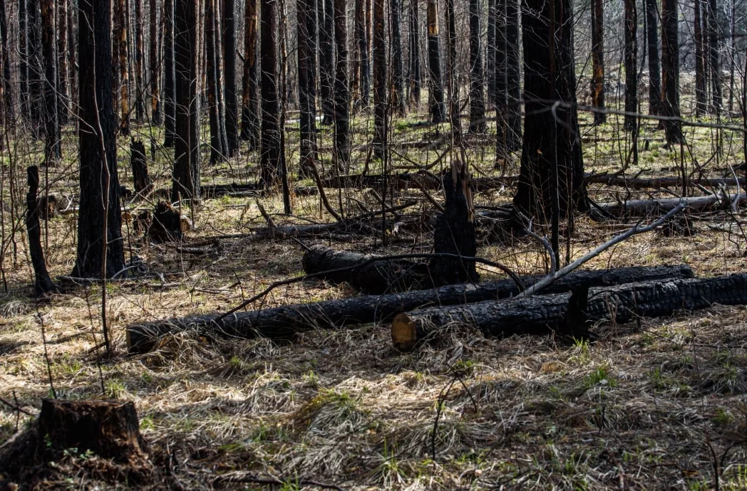 Илья Московец / РИА URA.RU