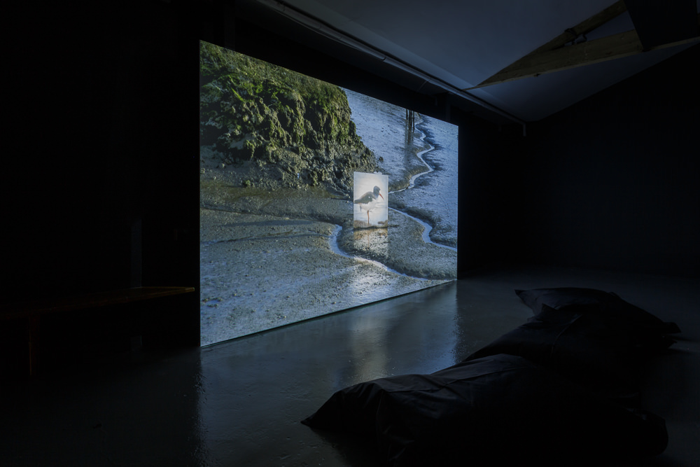 Работы проекта CUSP в разных музеях