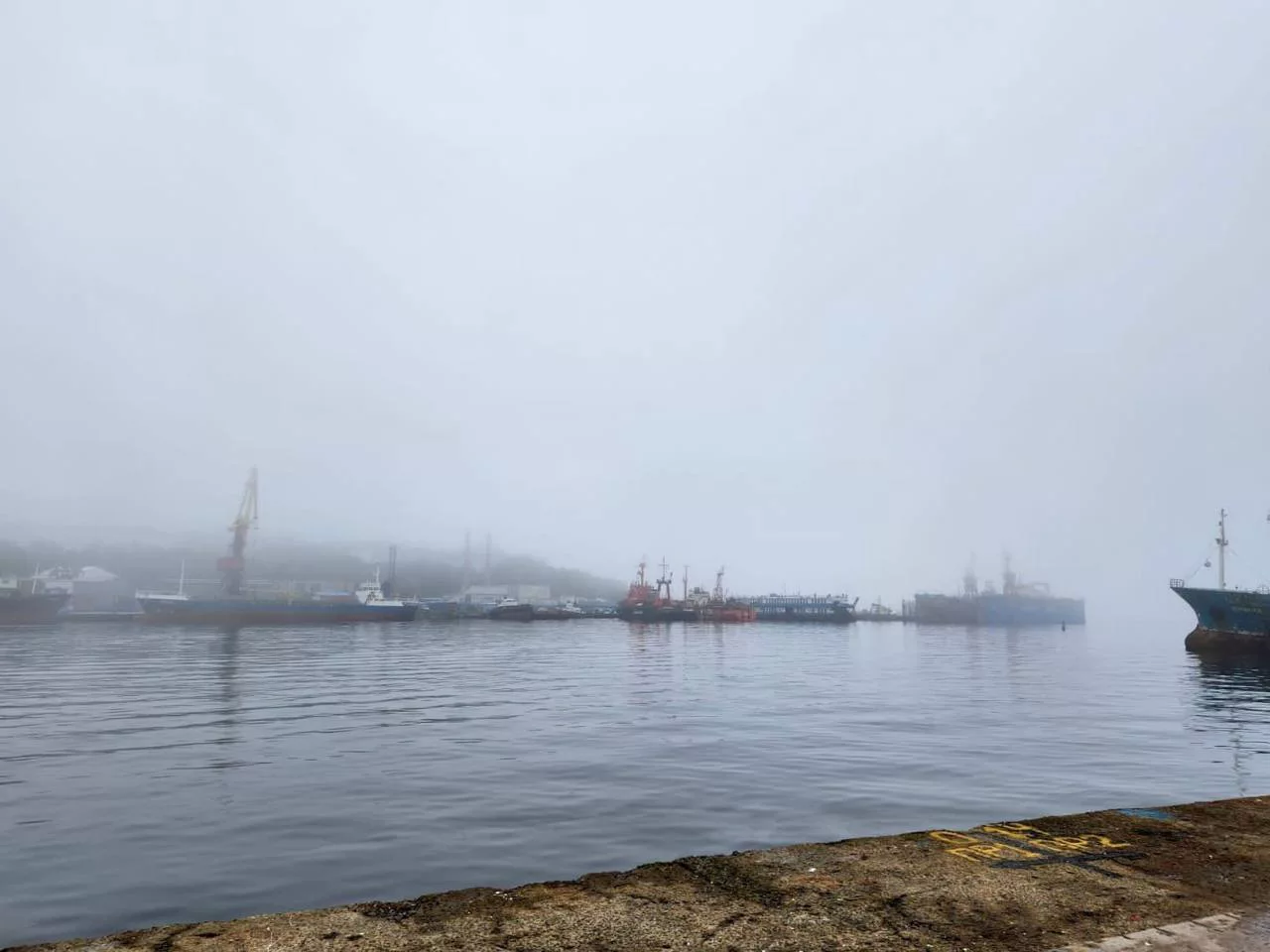 РБК Приморье