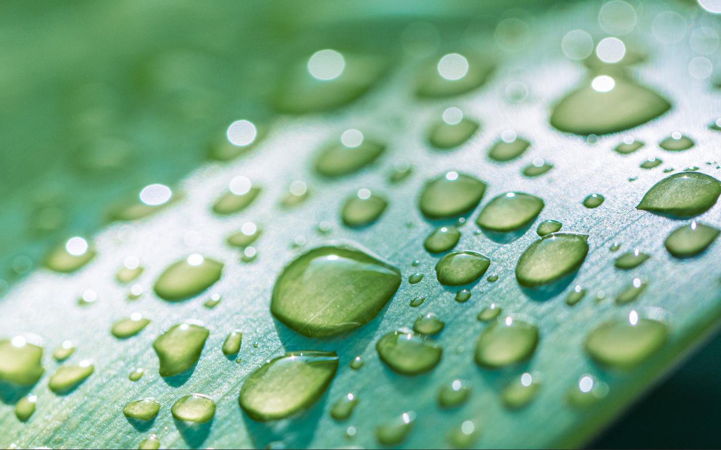 Фото: icemanphotos / Shutterstock / FOTODOM