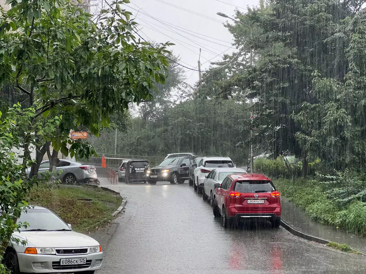 РБК Приморье