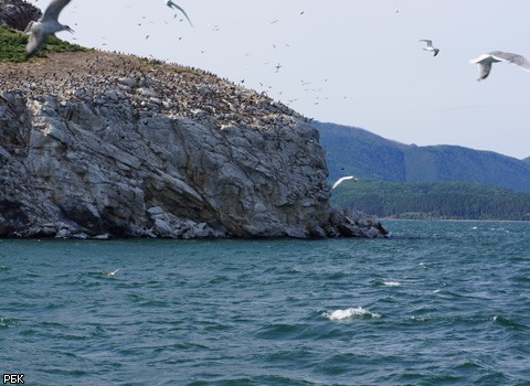 Байкал: озеро, обязательное для посещения