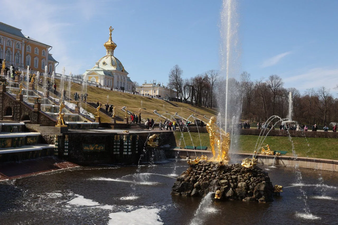 Дмитрий Фуфаев/«Петербургский дневник»