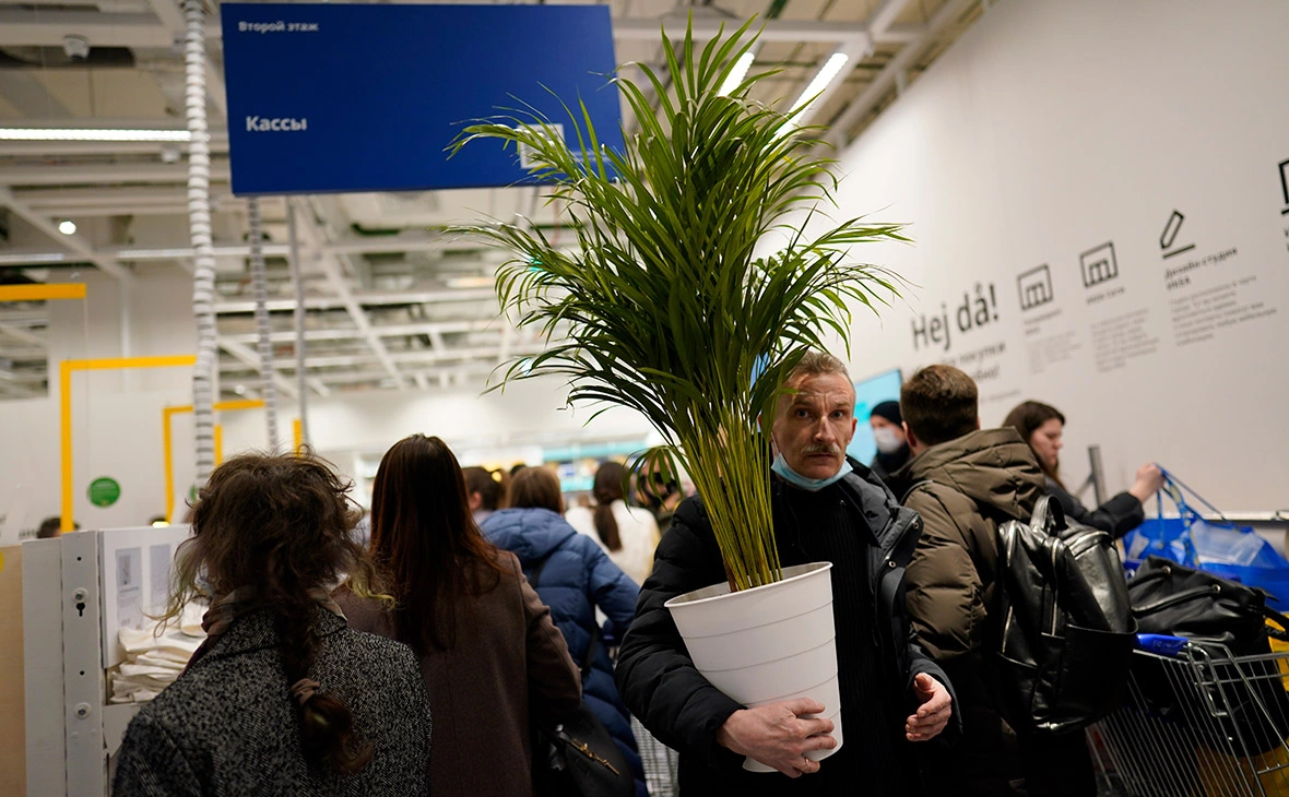 Михаил Гребенщиков / РБК