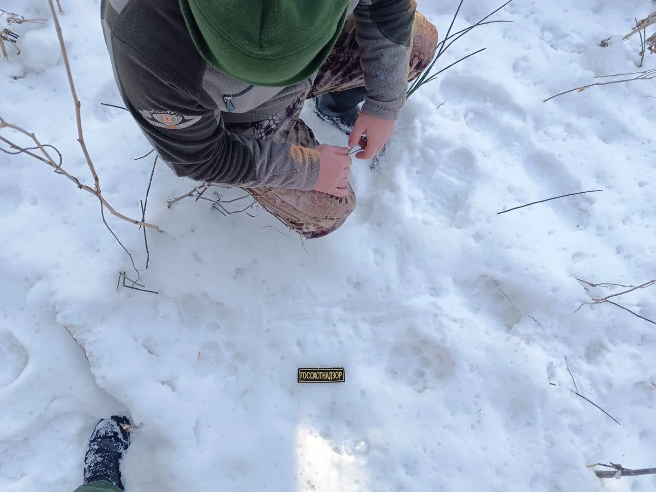 центр «Амурский тигр»