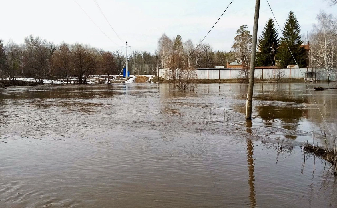 Национальный парк «Бузулукский бор»